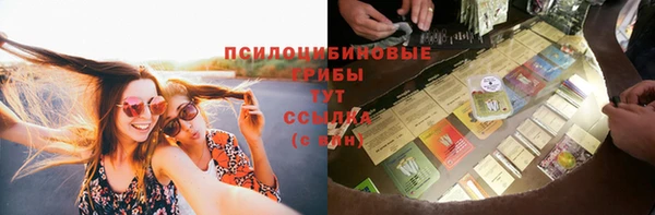 PSILOCYBIN Алексин