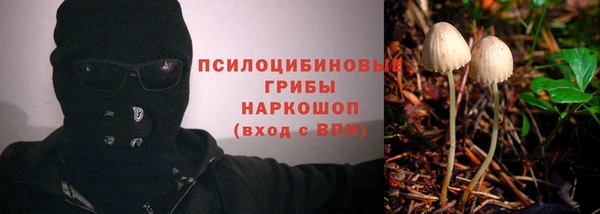 сатива Алзамай