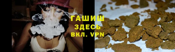сатива Алзамай