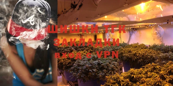 PSILOCYBIN Алексин