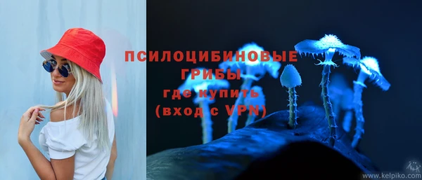 сатива Алзамай
