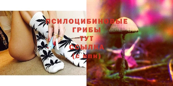 PSILOCYBIN Алексин