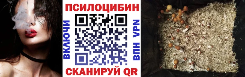 Псилоцибиновые грибы MAGIC MUSHROOMS  даркнет телеграм  Лодейное Поле 