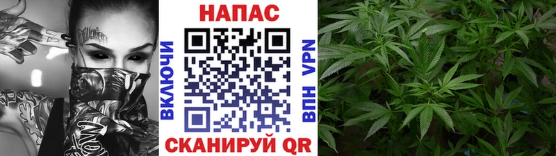 mega онион Лодейное Поле Каннабис AK-47